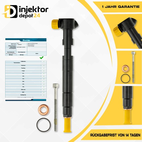 Injektor einspritzdüse - injektor,